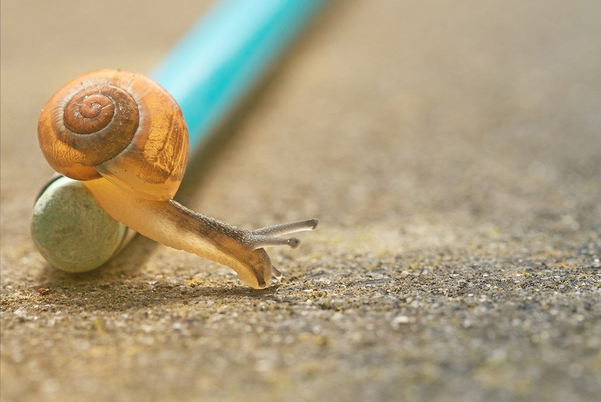 3 Things To Do When Business Is Slow