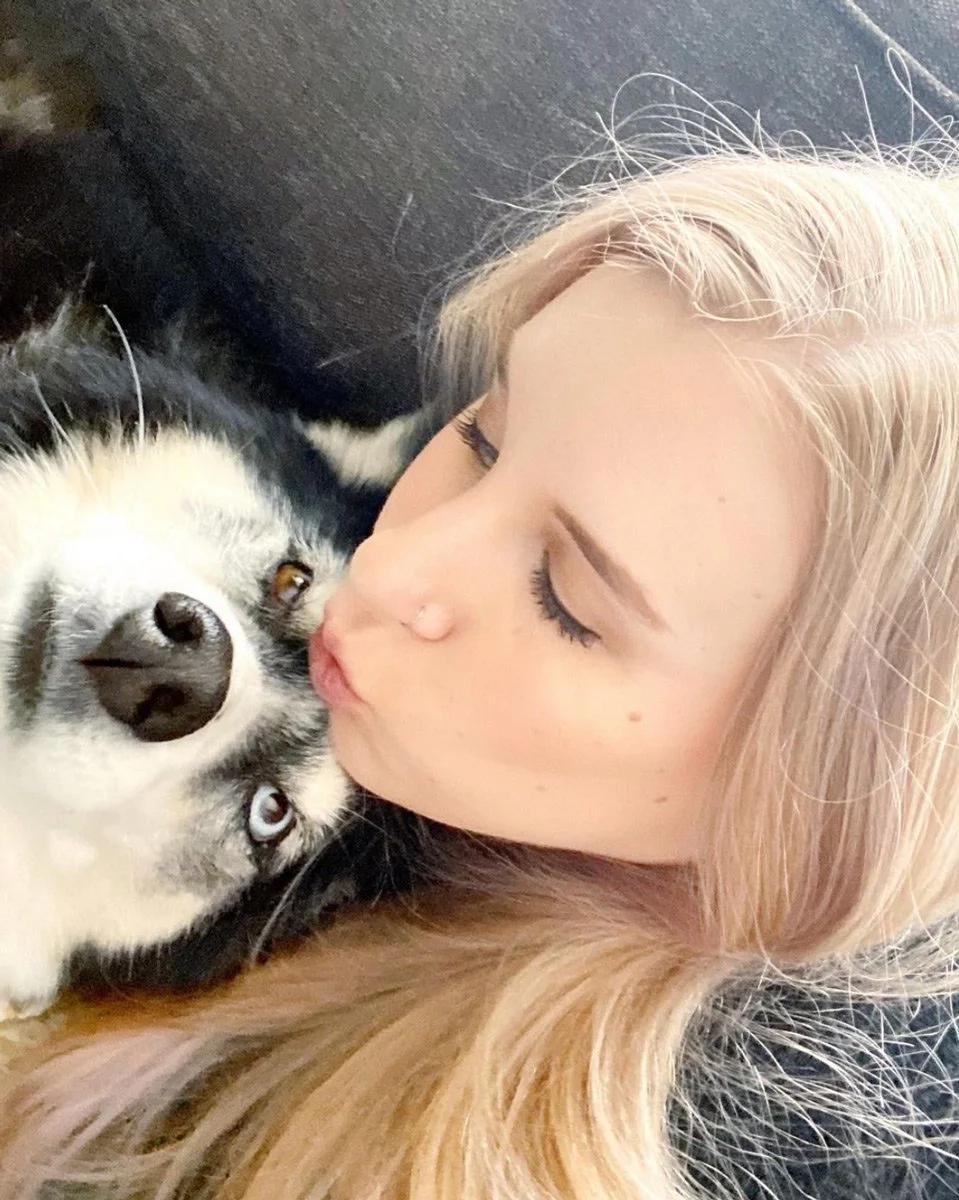 Six Leaf Design | Freelance Logo + Brand + Graphic + Website Designer |  Denver, CO