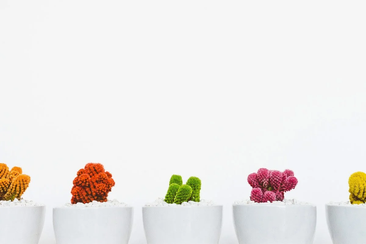 What Your Colors Are Saying About Your Brand