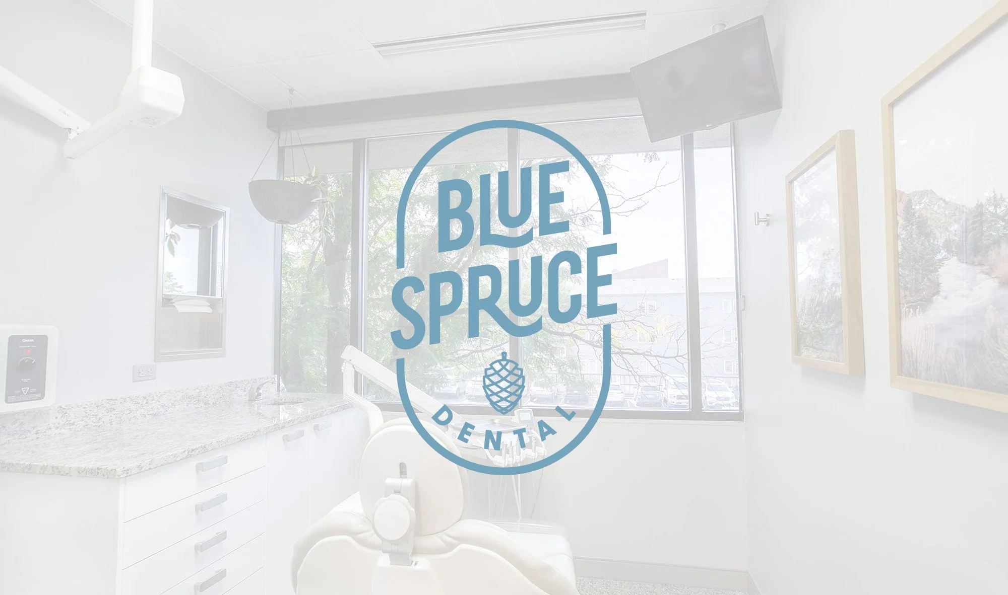 Portfolio-BlueSpruce-Logo2.jpg