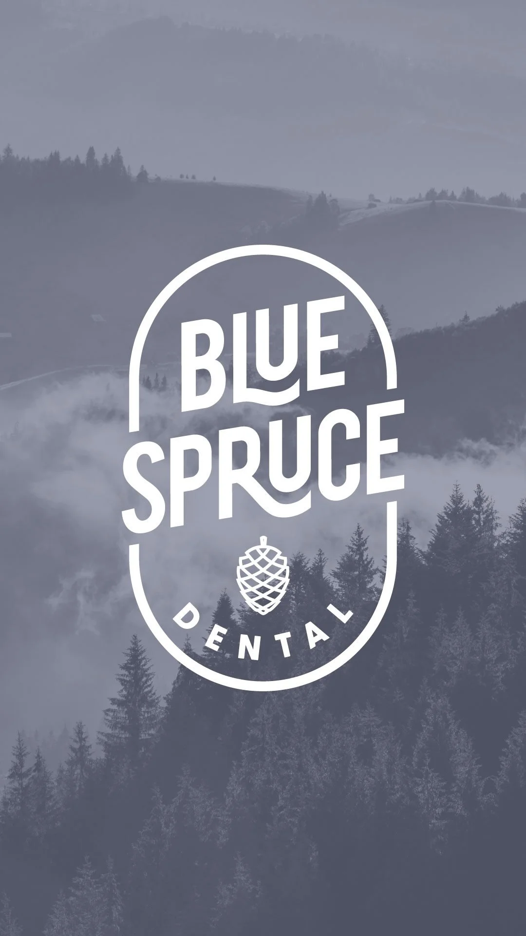 Gray mountain landscape with pine trees and fog, overlaid with the logo design for "Blue Spruce Dental" in white with a pine cone icon.