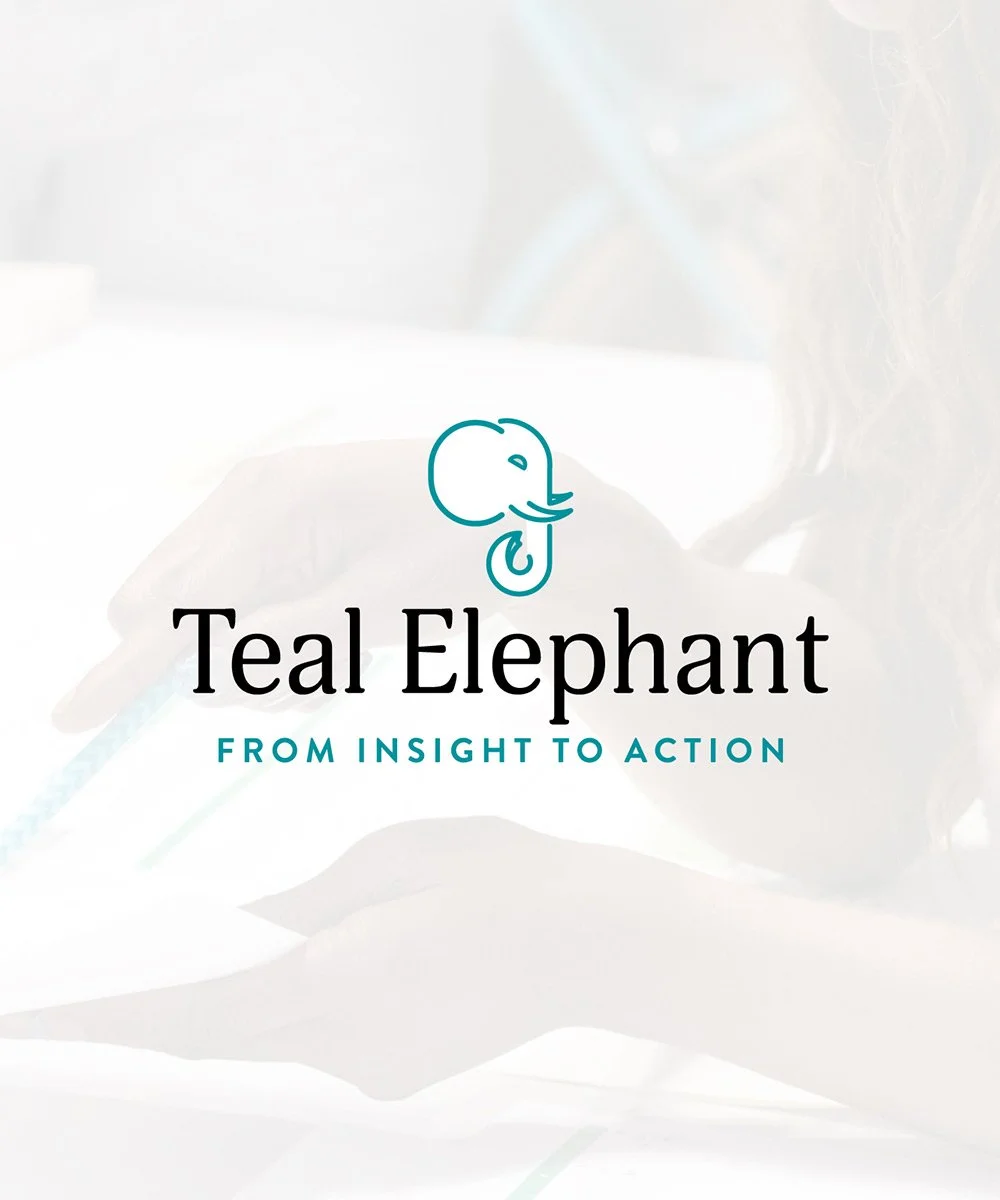Logo design for Teal Elephant with a teal elephant logo and the tagline 'From Insight to Action' in teal text.