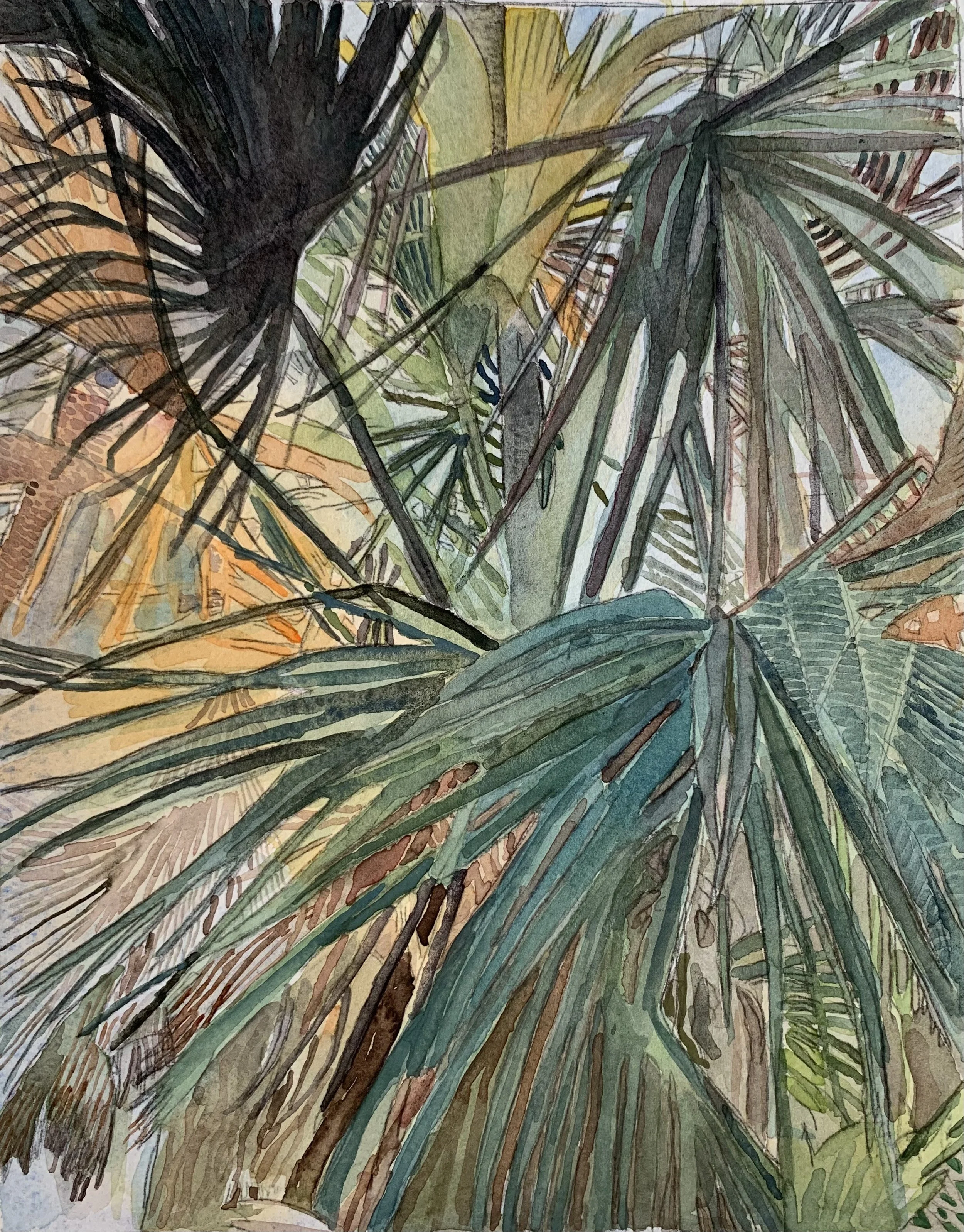 Palmetto I, Fan