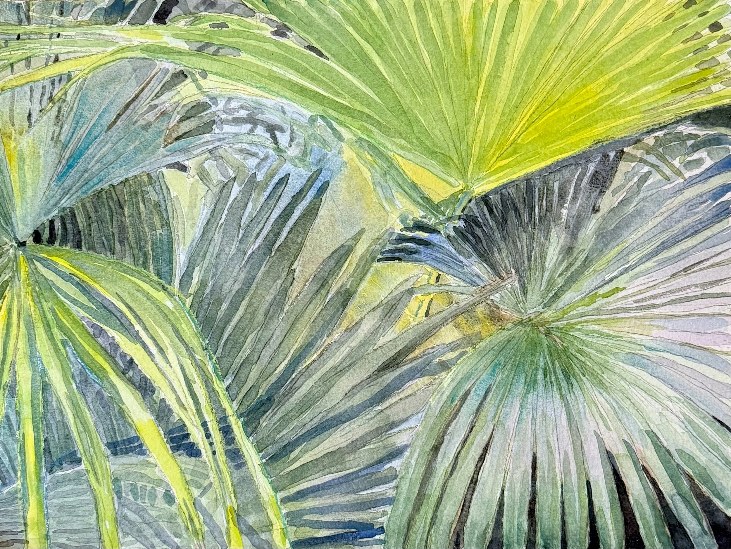 Palmetto III, Sun and Shade