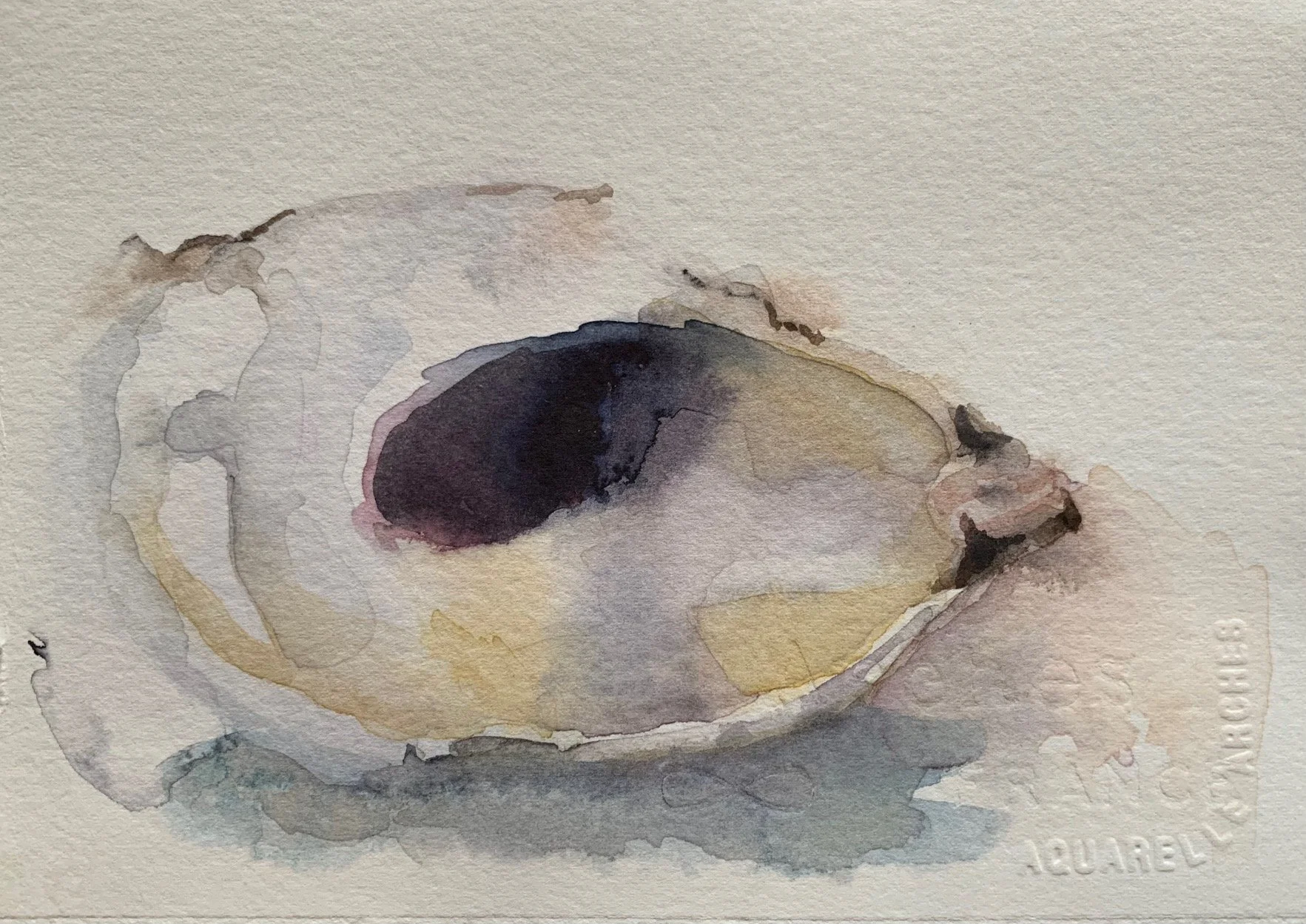 Charleston Oyster II