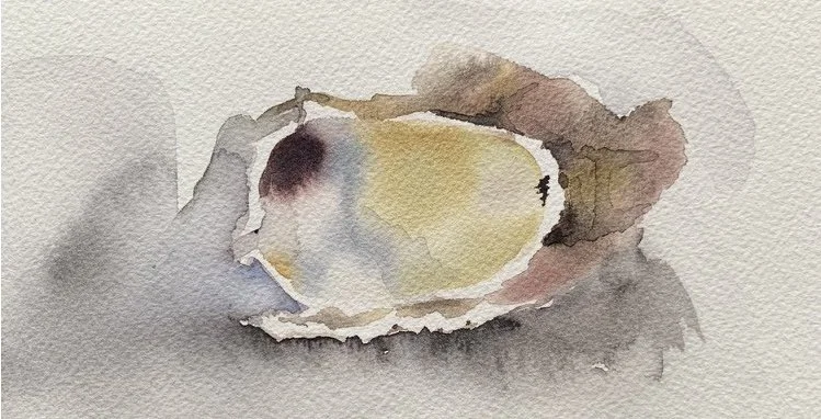 Hiding Oyster