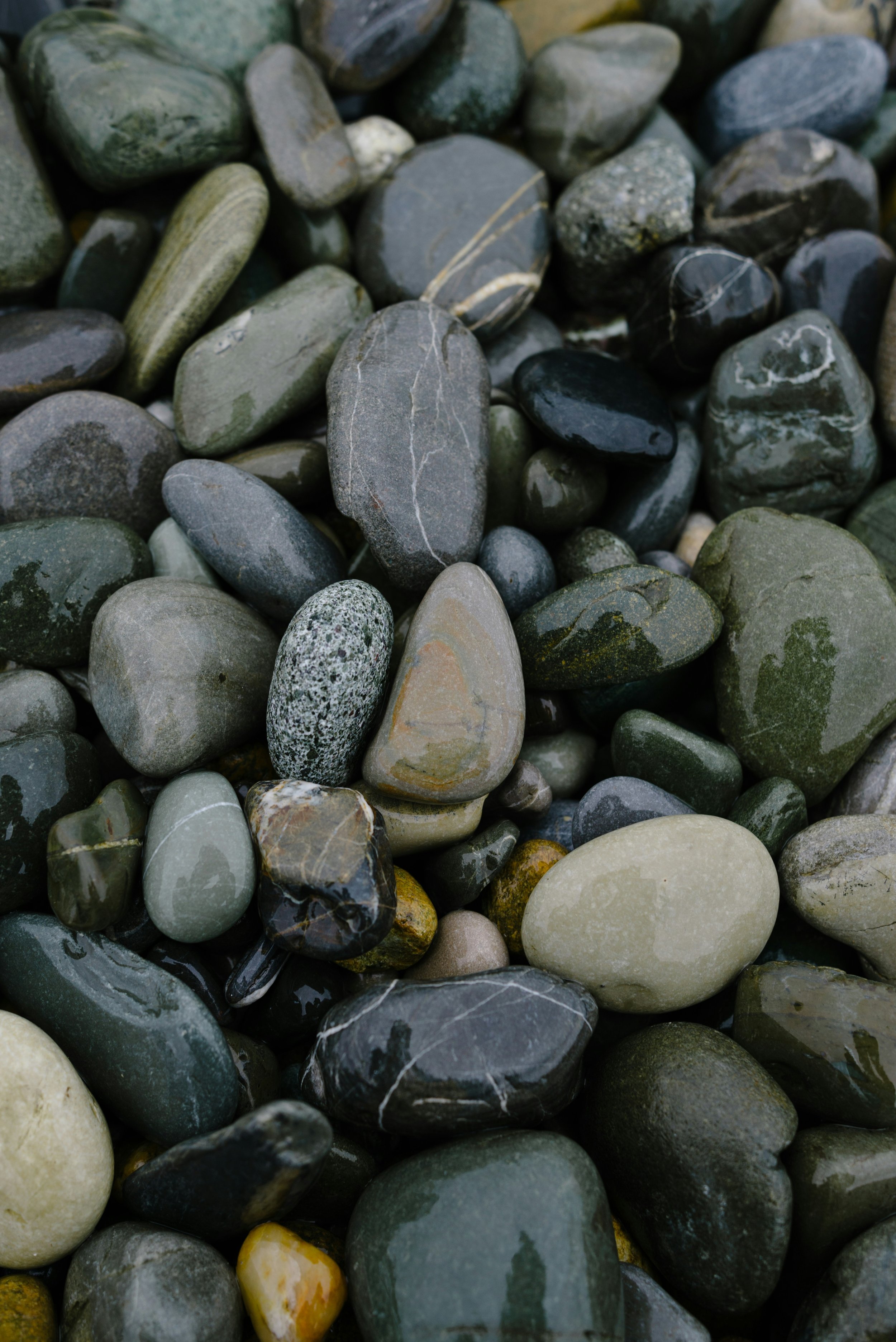 Salt Stone Studio_Stock Image9.jpg