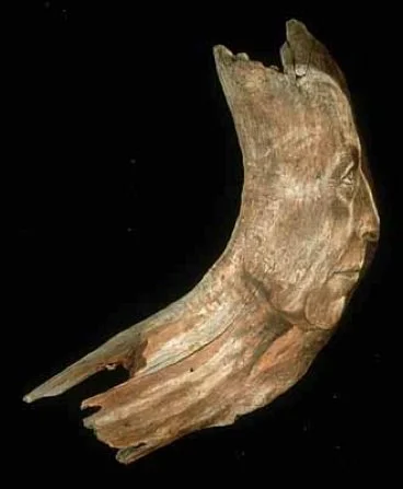 Face painted on tree bark