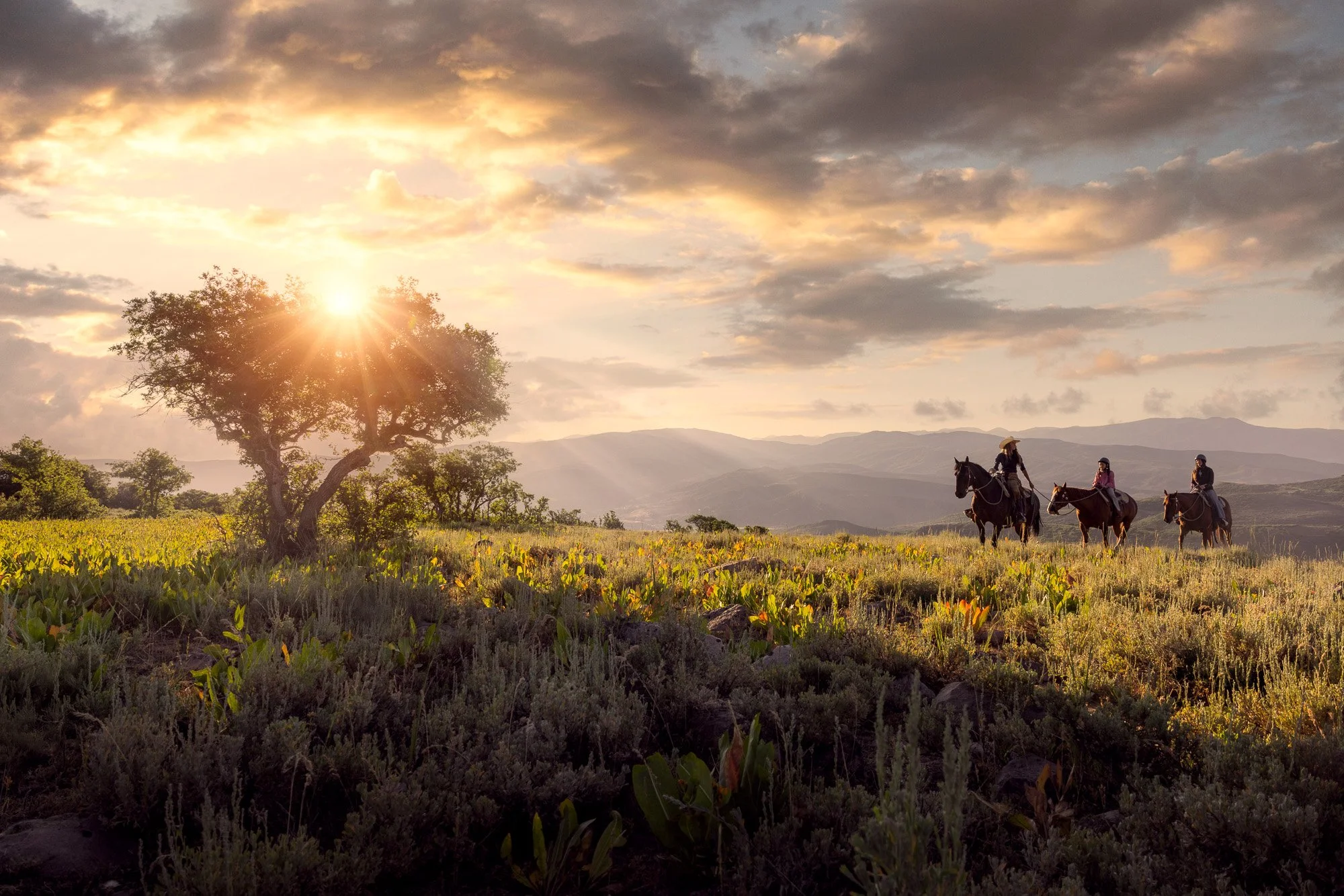 Visit Park City / Tourism / Spring-Summer