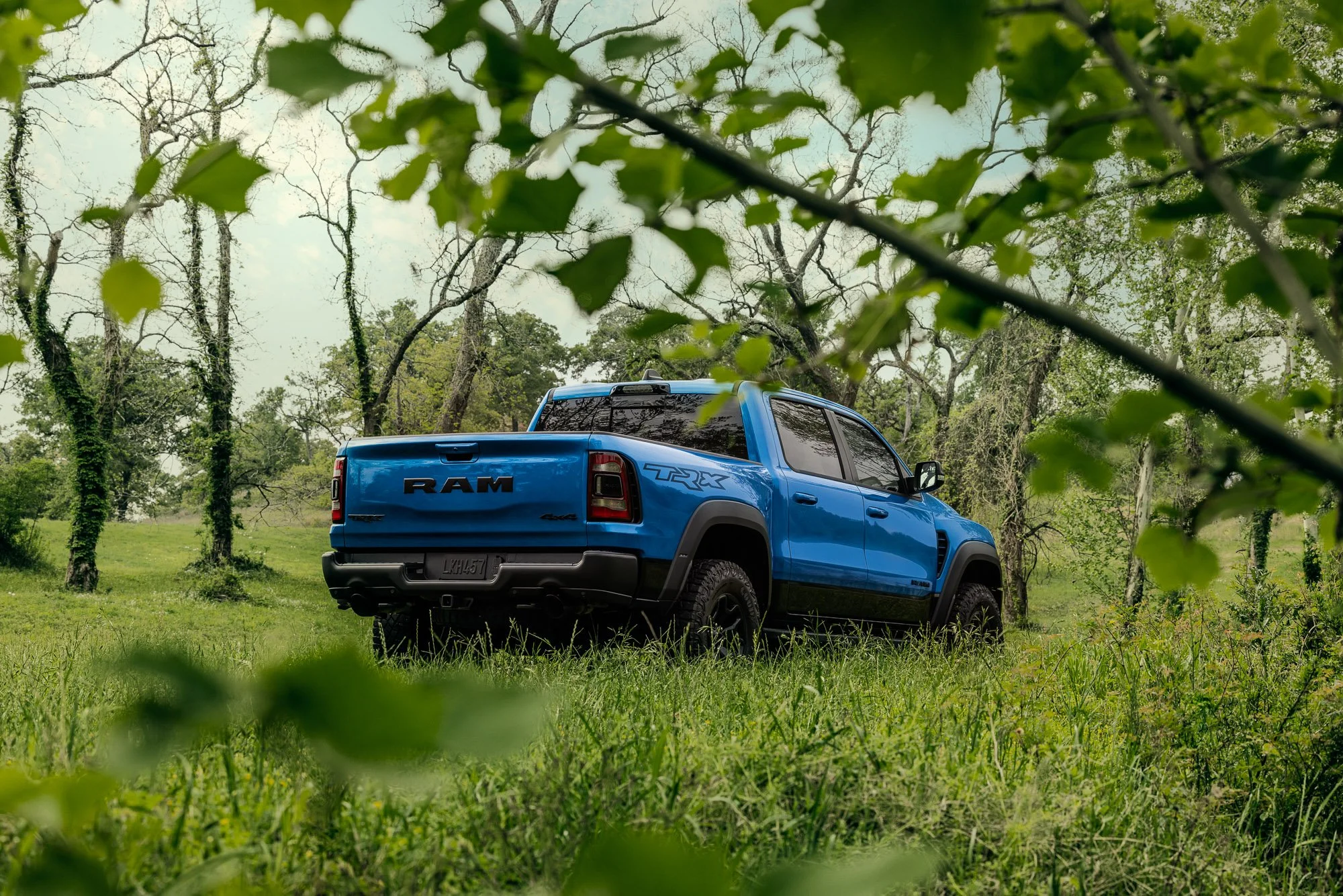 Blue RAM TRX pickup truck parked on a grassy field surrounded by trees in a forested area.
