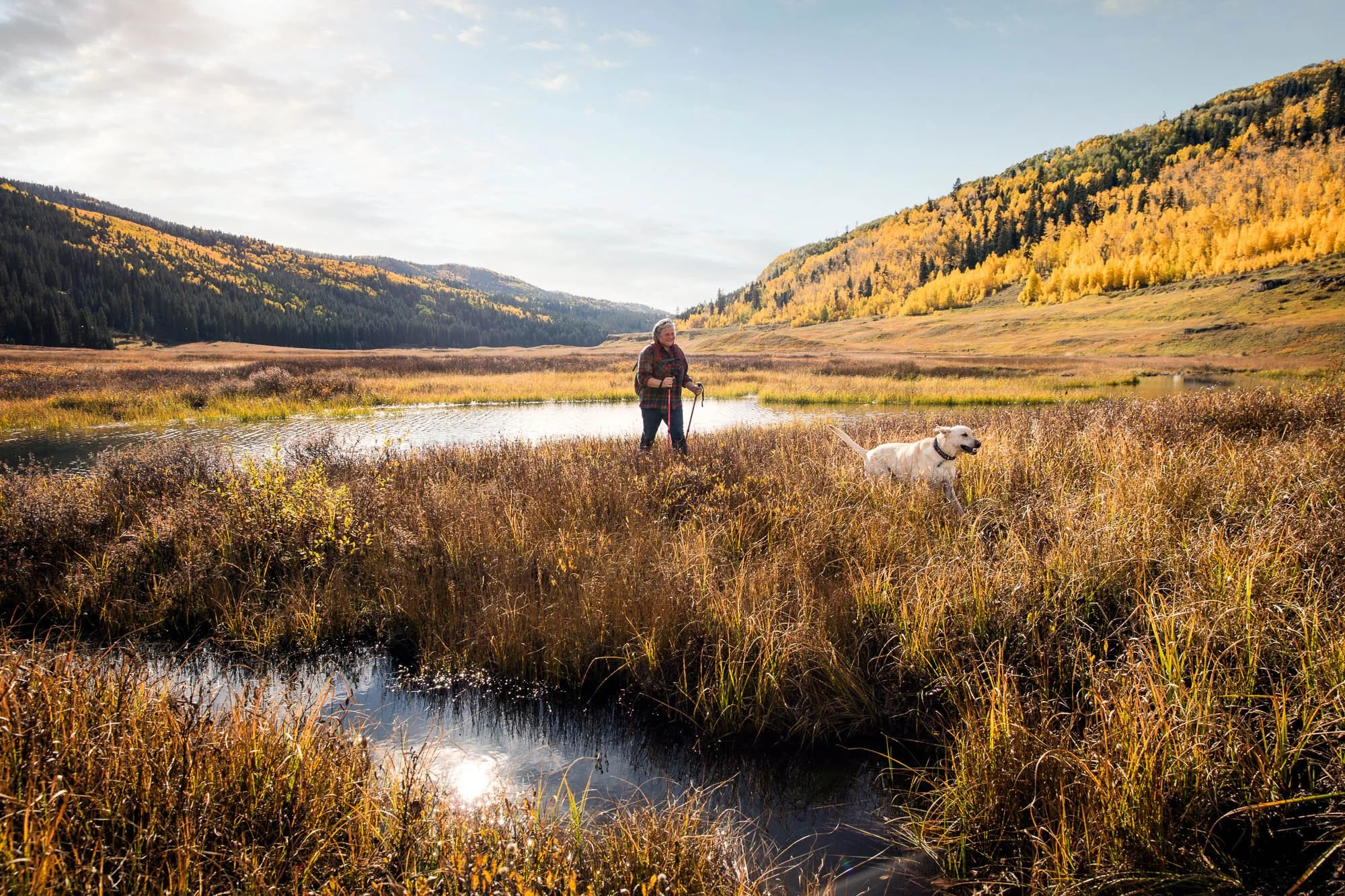 A person hiking with a dog in a grassy wetland surrounded by mountains with fall foliage.