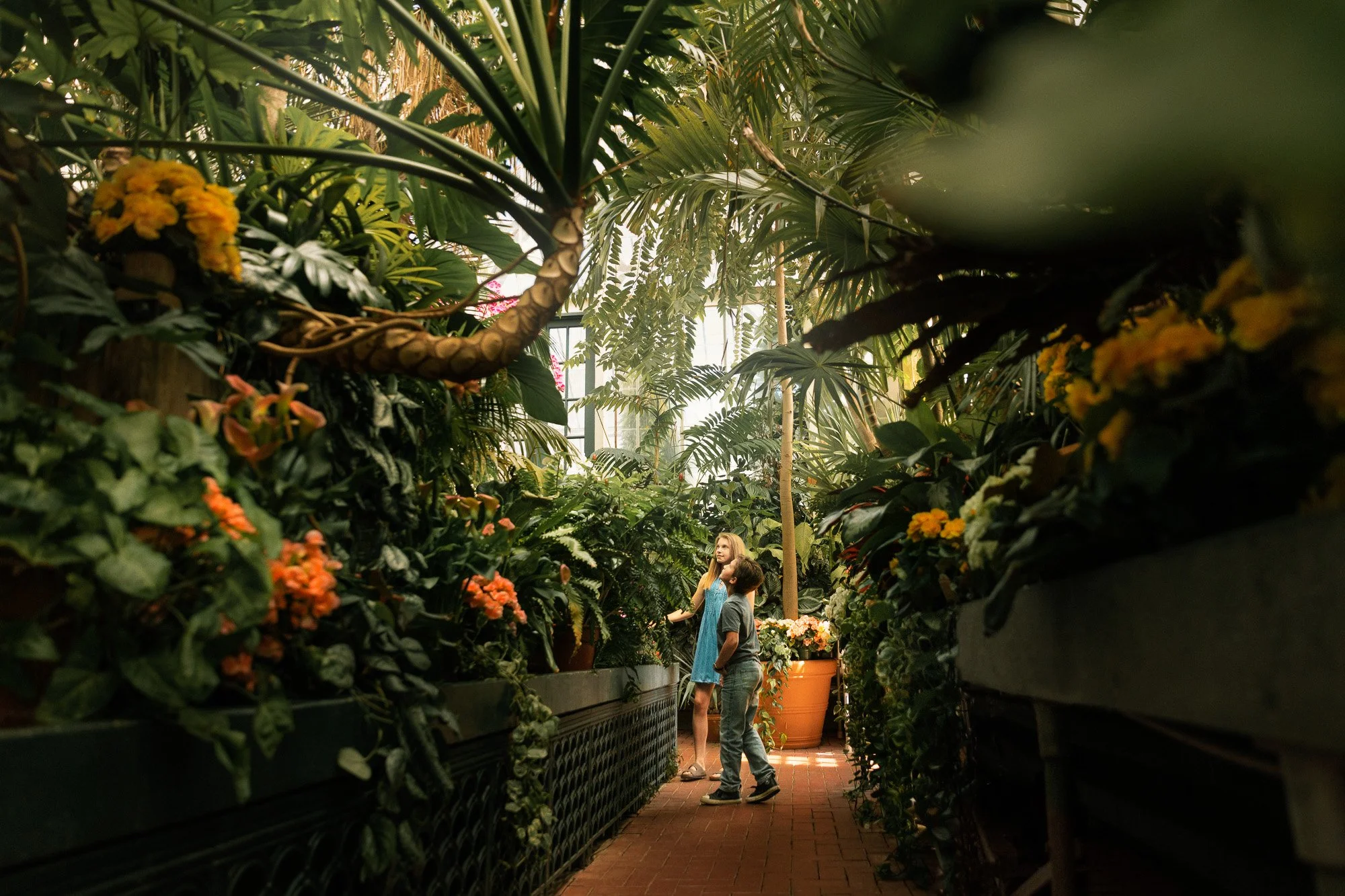 A woman and a boy stand in a lush greenhouse, surrounded by various green plants and flowers, with sunlight filtering through the glass ceiling.