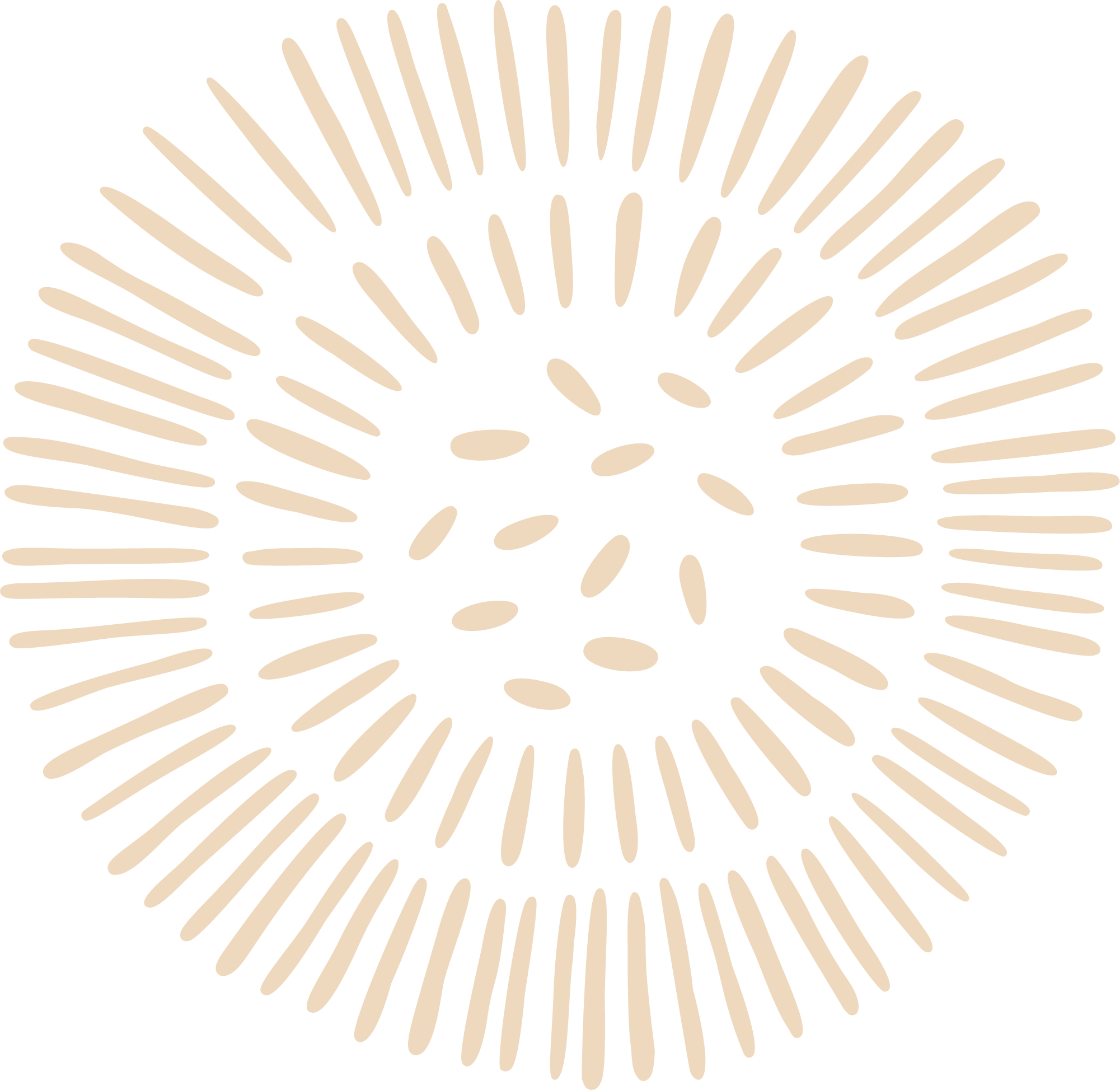 Black background with beige outlined circular pattern of lines radiating outward, resembling a fireworks explosion or abstract burst design.