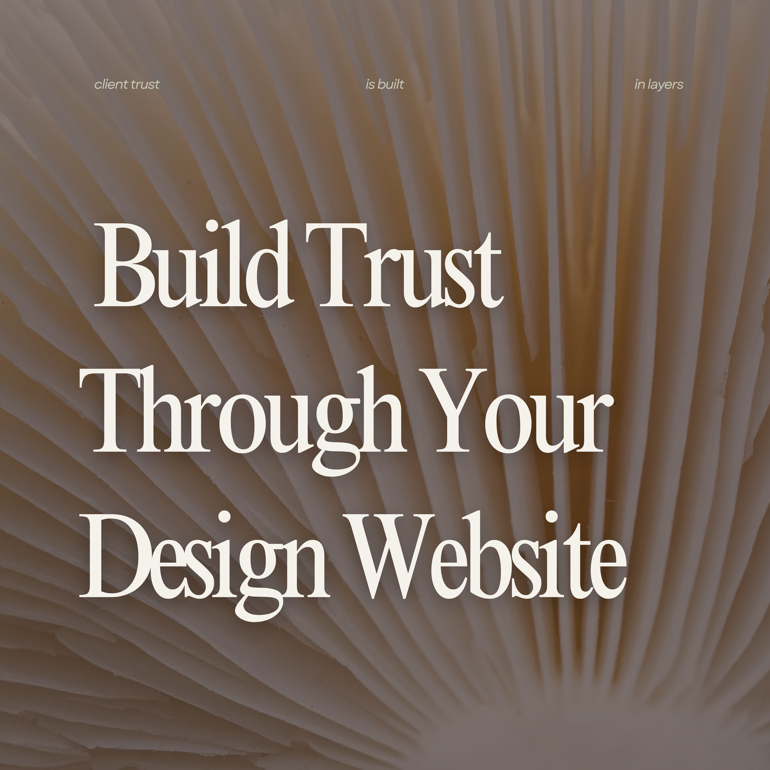 How to Build Trust Through Your Design Website