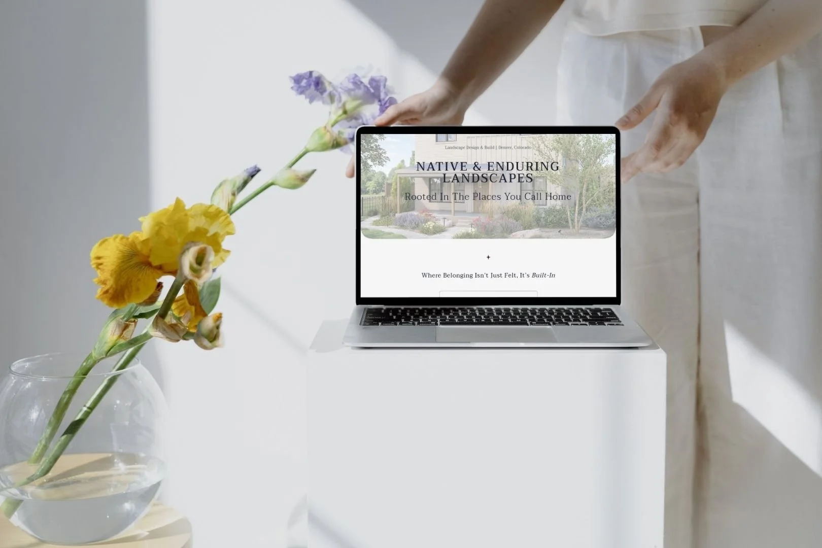 Homepage of Aquila Landscapes by Hailey Osborne Designs