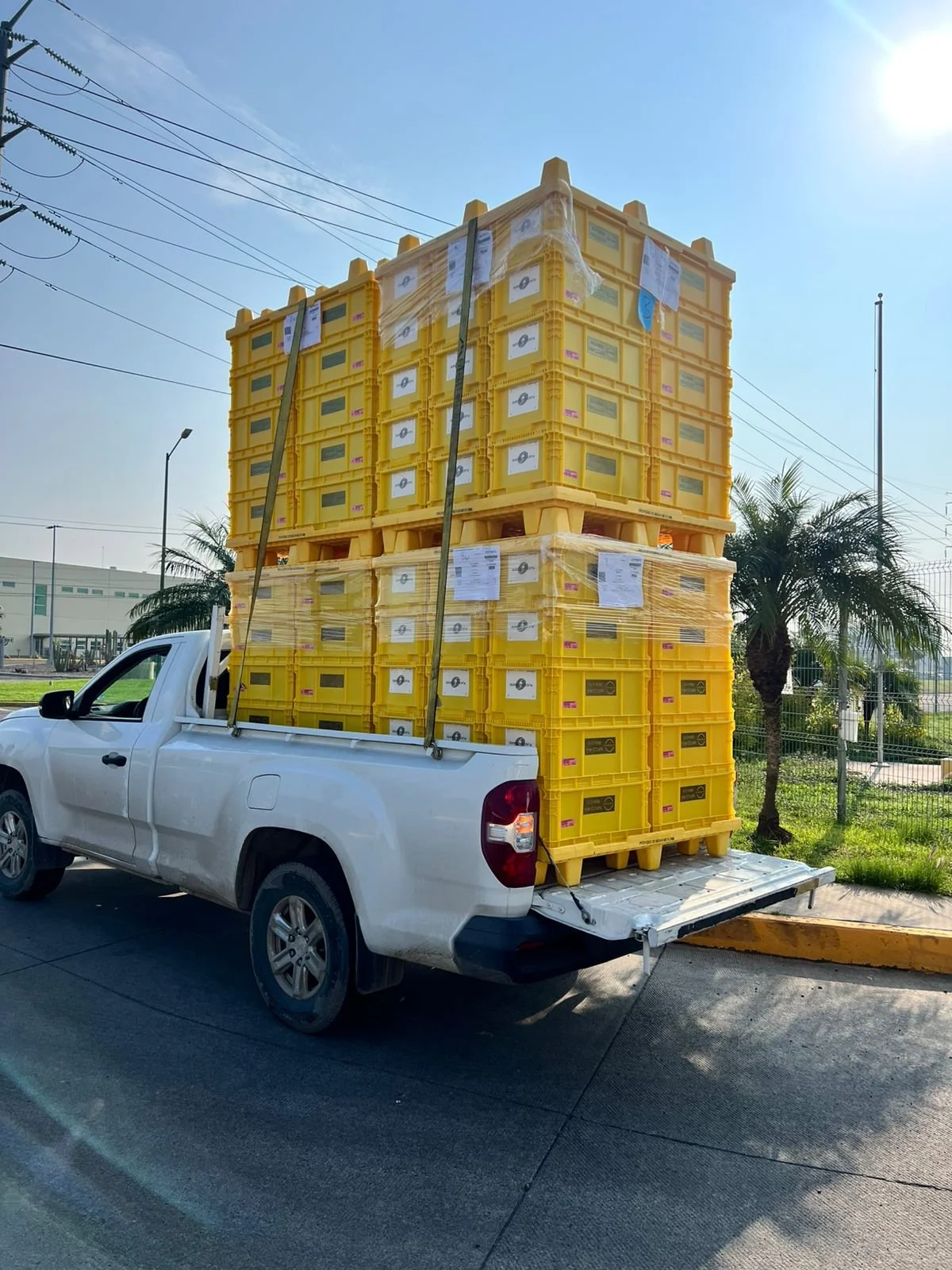 WhatsApp Image 2025-08-05 at 23.33.57_d3605b73.jpg