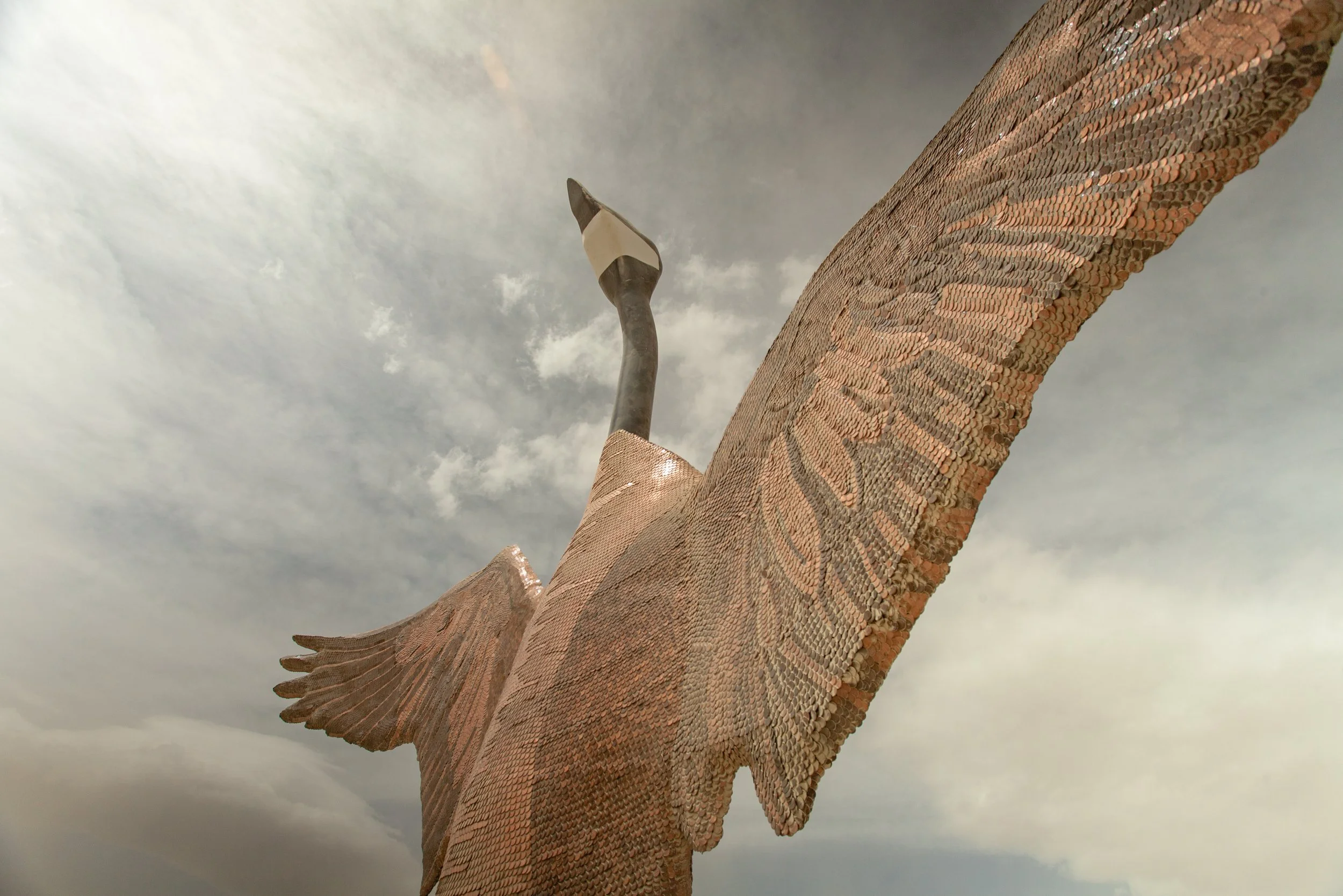 Penny-the-Goose-5.jpg