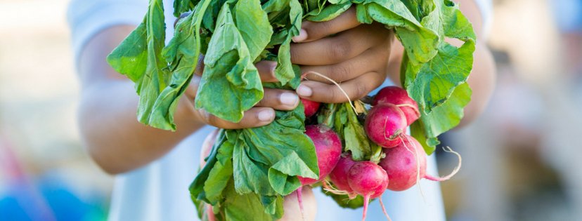 Presenting the Kids' Food Bank