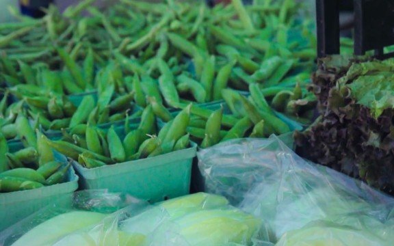 High Desert Food & Farm Alliance on TV!