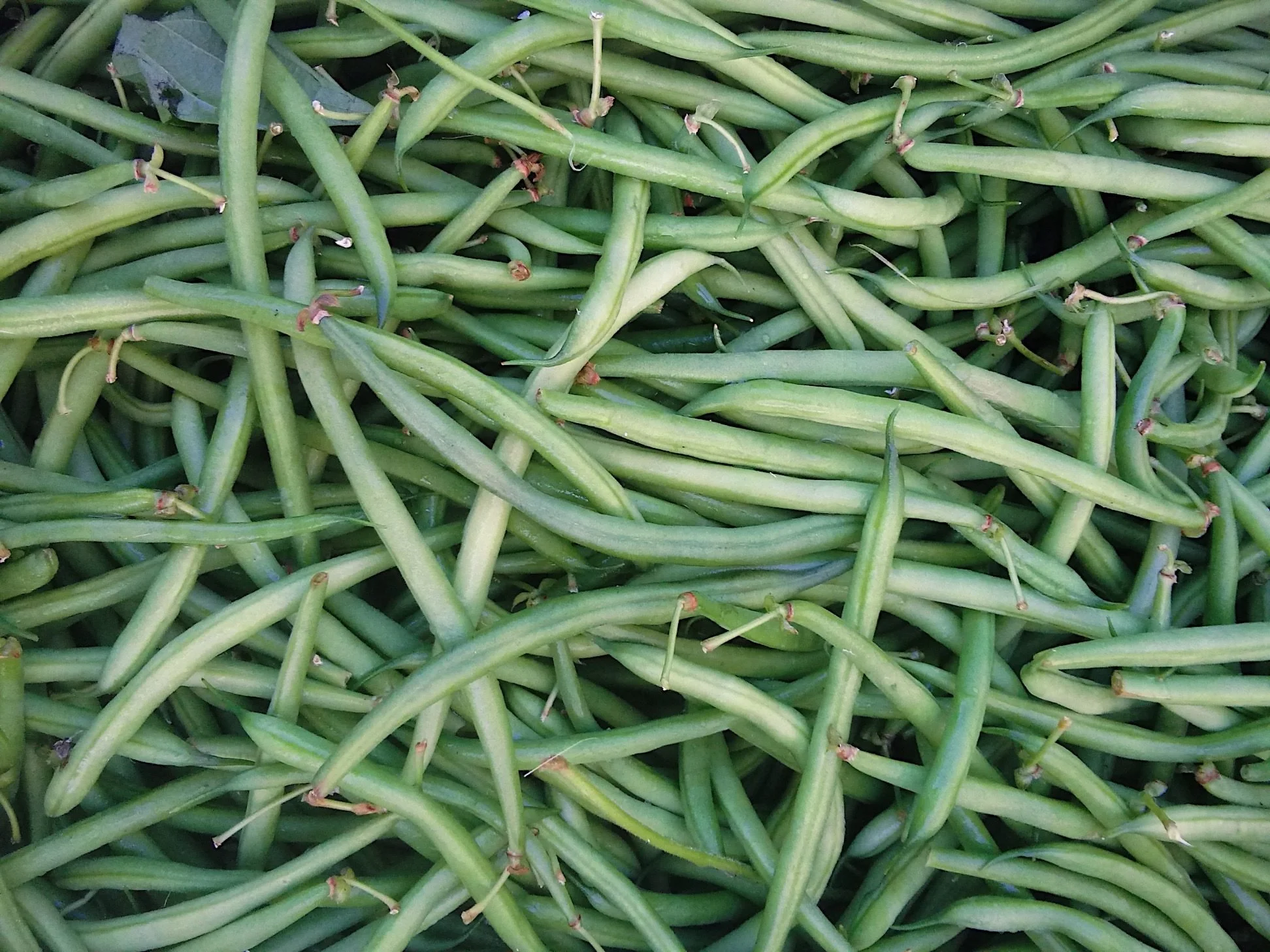 Don't miss a beet! What’s the dill with food access in Prineville?