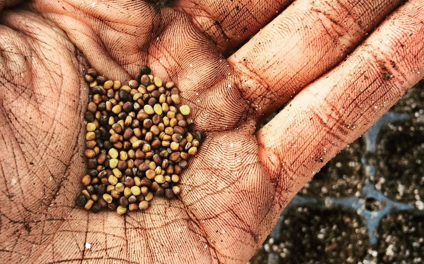 Resources for Farmers & Ranchers