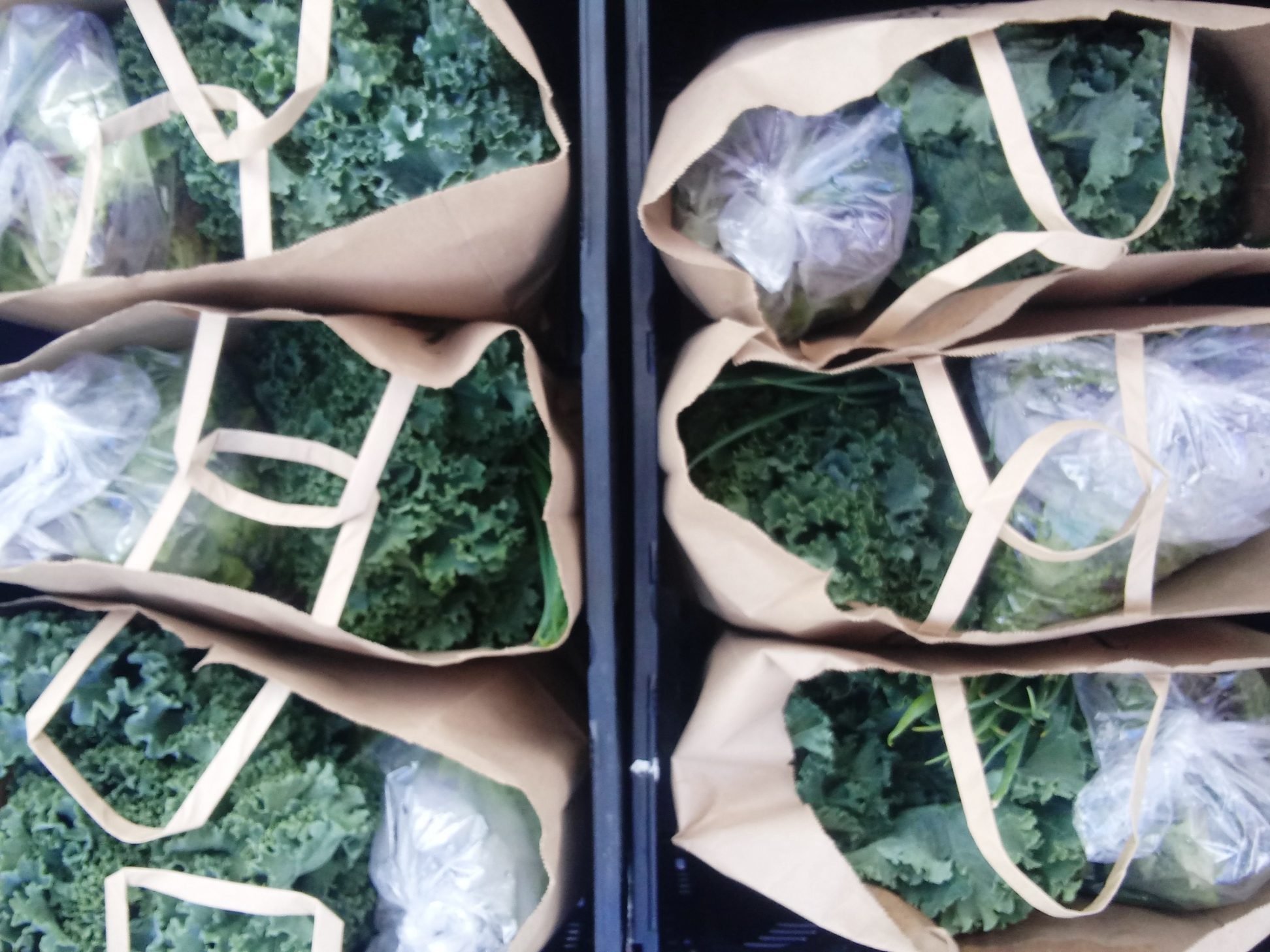 Food Tank highlights HDFFA's VeggieRx Program