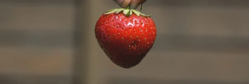 Our Partners: Supporting The Community Every Day