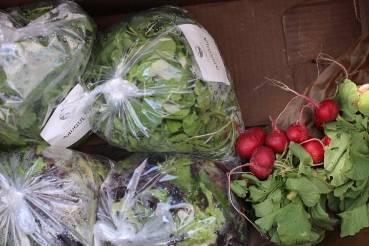 VeggieRx returns to Bend, Redmond, and Prineville.