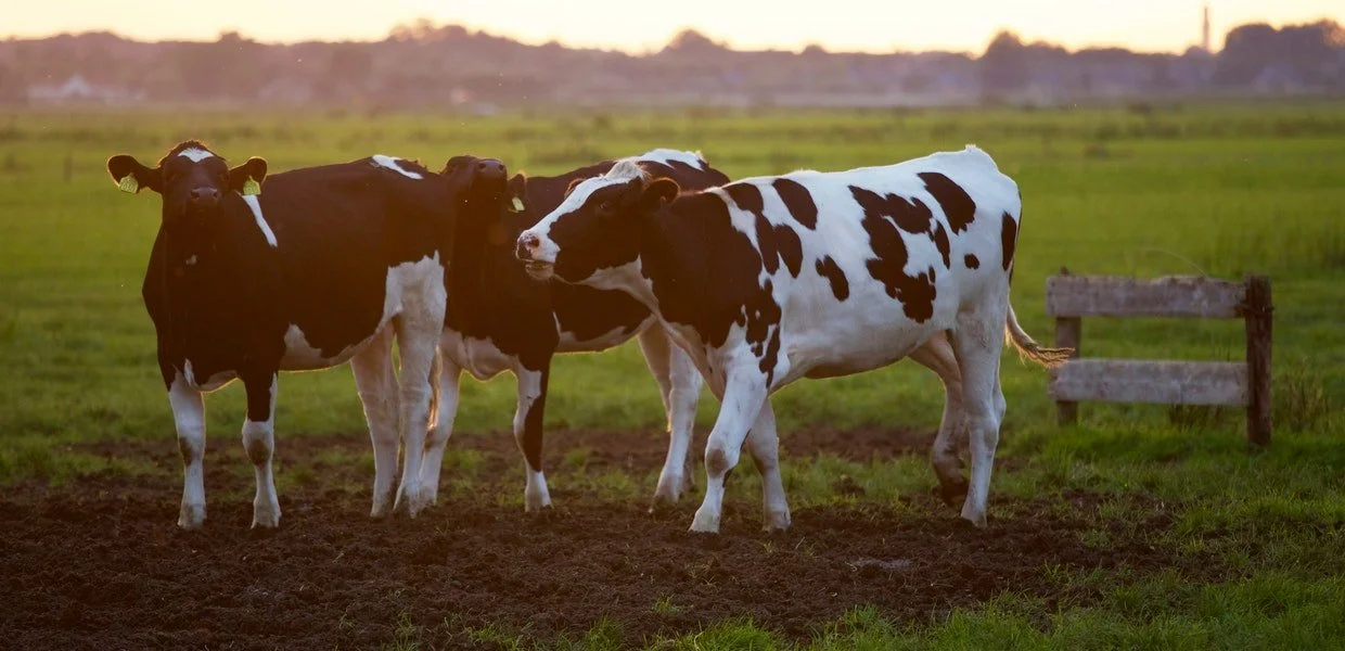 HDFFA Awarded USDA Grant for Farm & Ranch Support