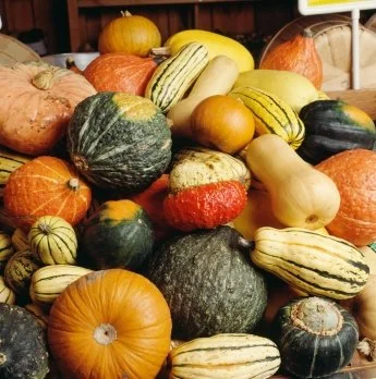 Recipe: Holiday Roasted Butternut Squash