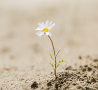 A letter from our Executive Director