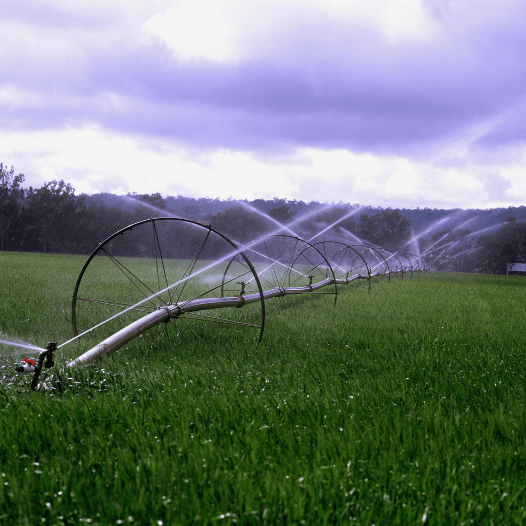 Drought and Water Allocation Resources for Farmers and Ranchers in the Deschutes Basin
