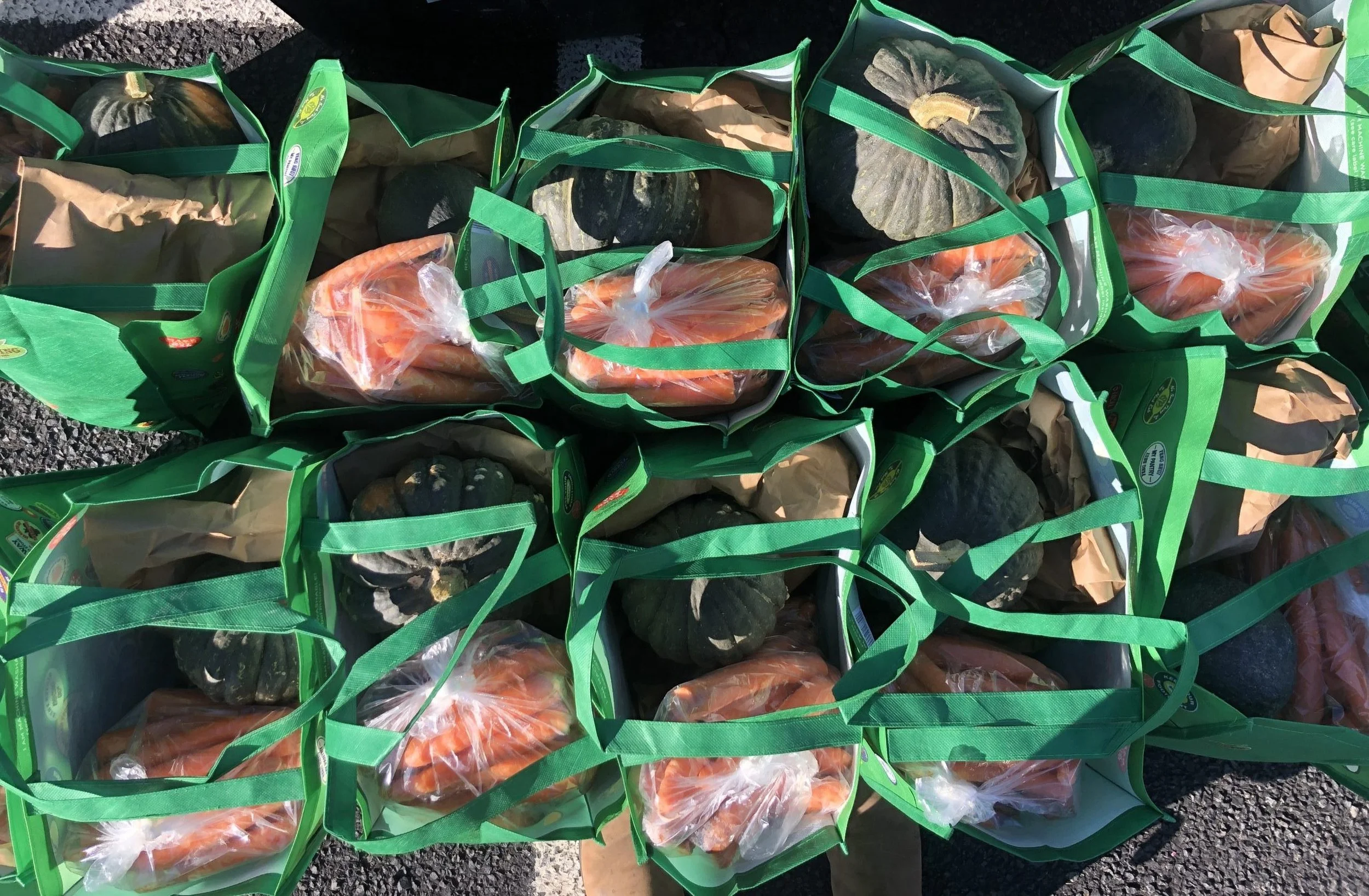 Vegetable Kits at Central Oregon Fill Your Pantry