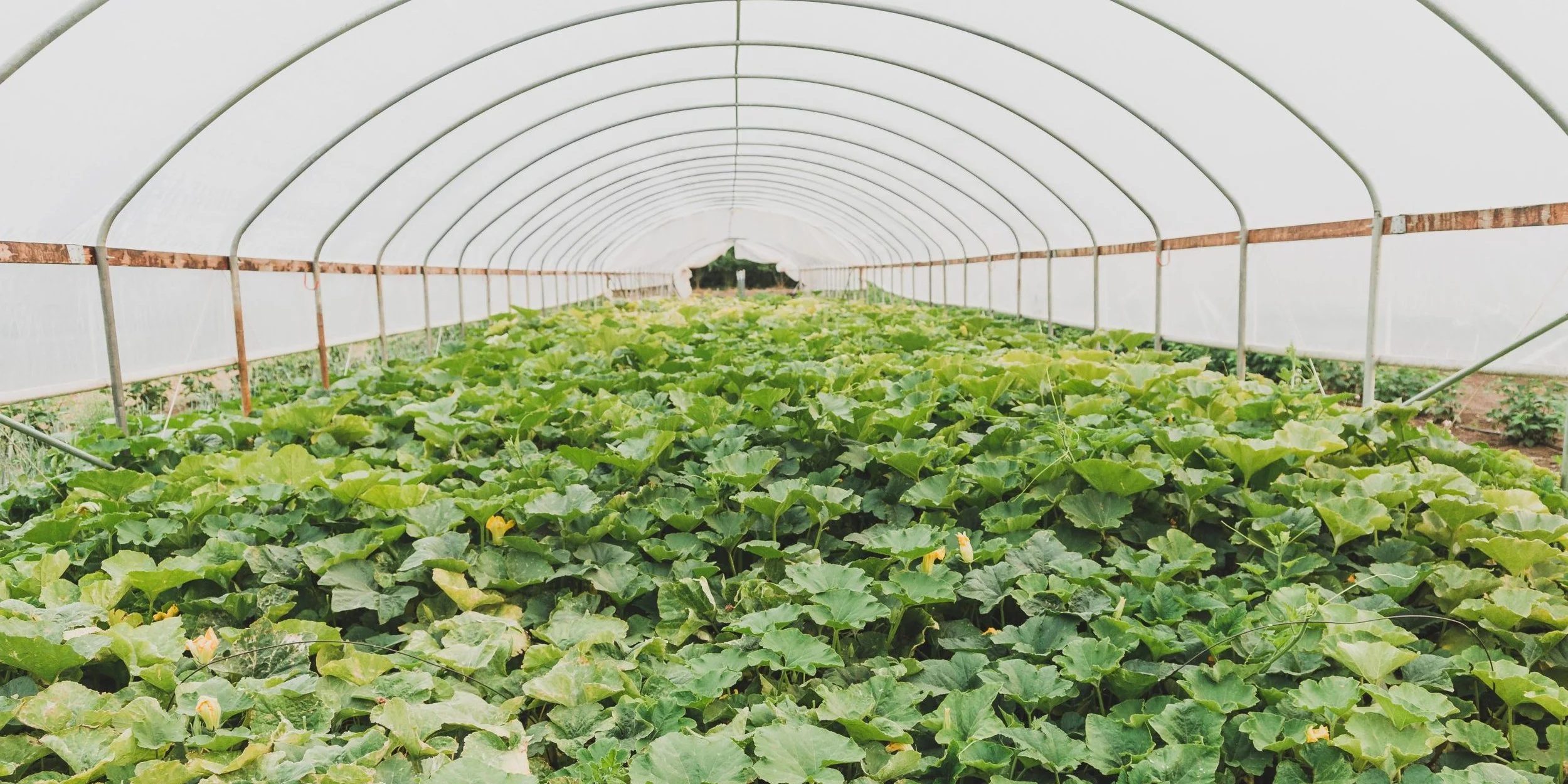 Local farmers and ranchers eligible to receive up to $4,000 in on-farm grants from HDFFA!