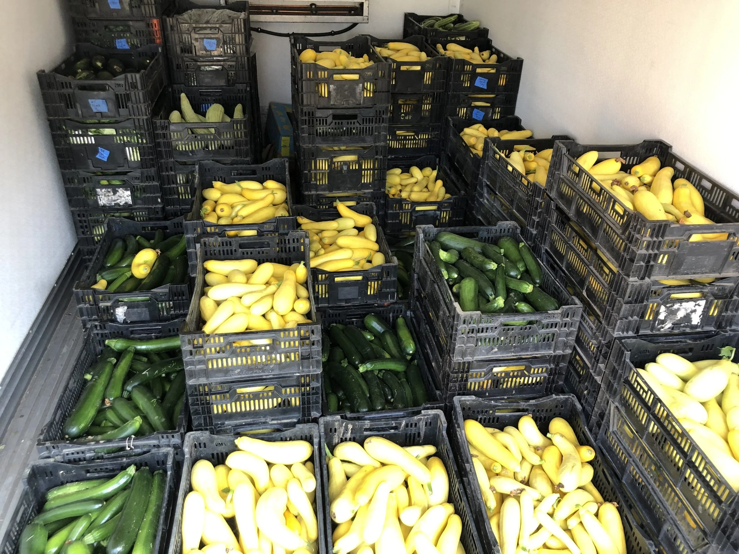 Over 100,000 Pounds of Local Produce Collected!