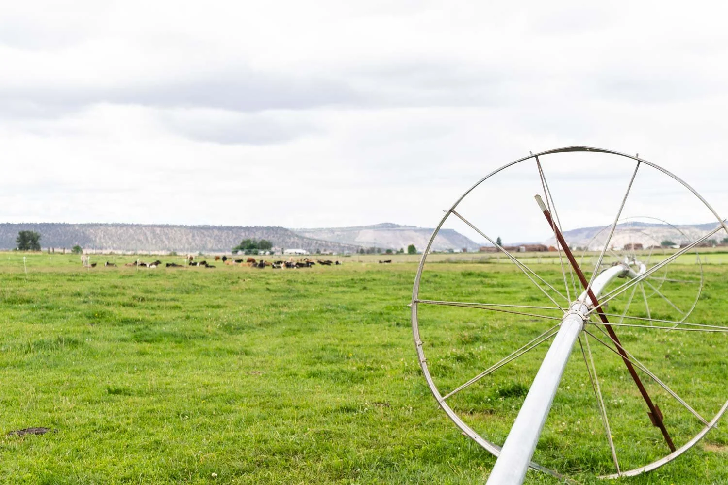 $1.5 Million in Relief Funds Allocated for Small-Scale Farmers and Ranchers