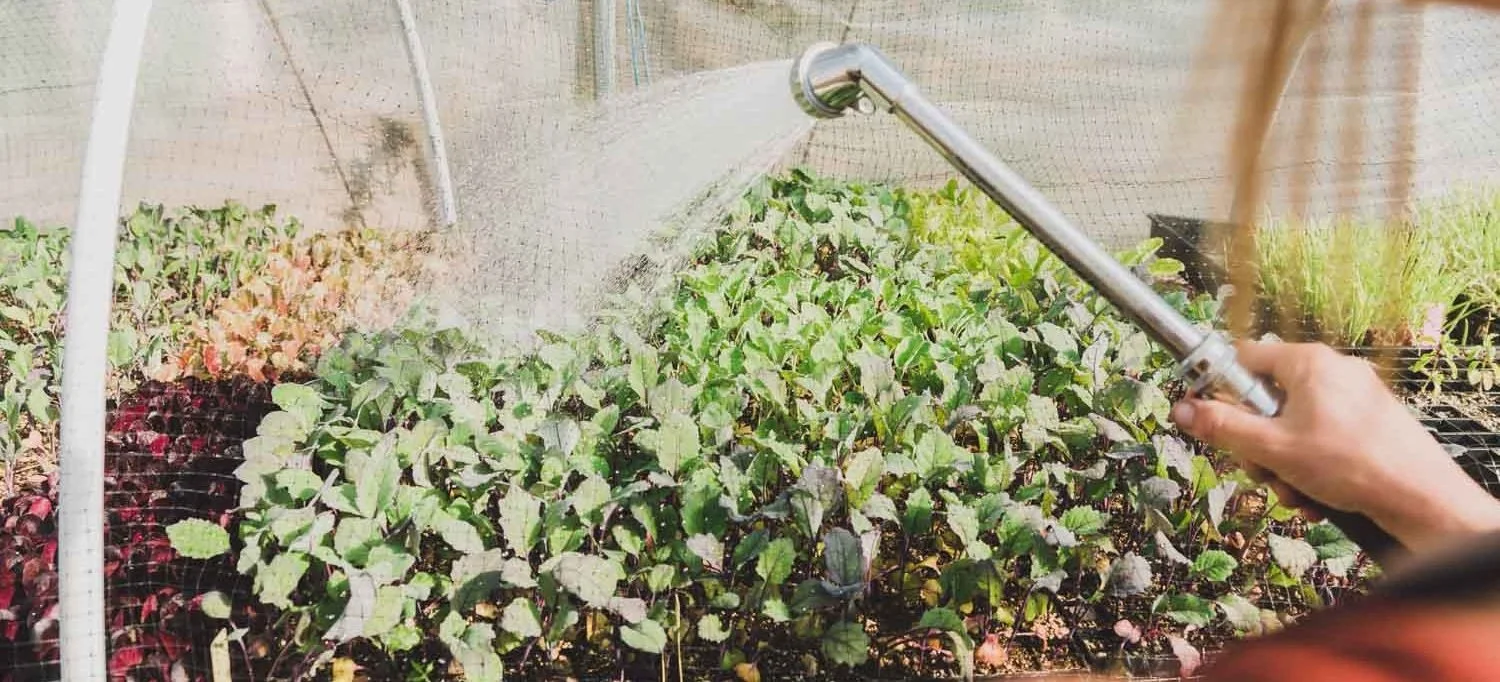 HDFFA Looks At The Year Ahead!