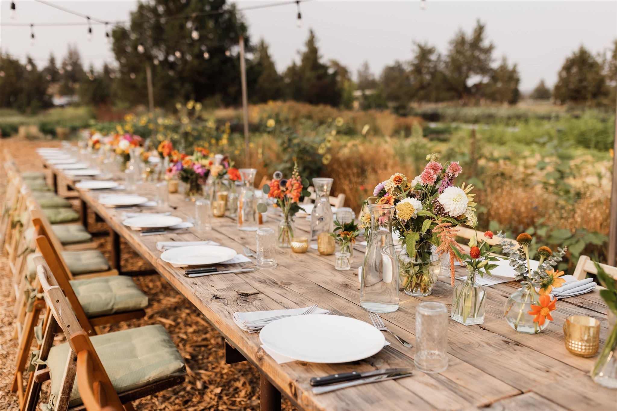 Rainshadow Organics Farm-to-Table Kitchen is a Culinary Destination