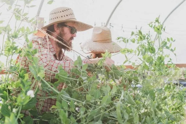 Growing Together Mentorship Program Receives Coverage