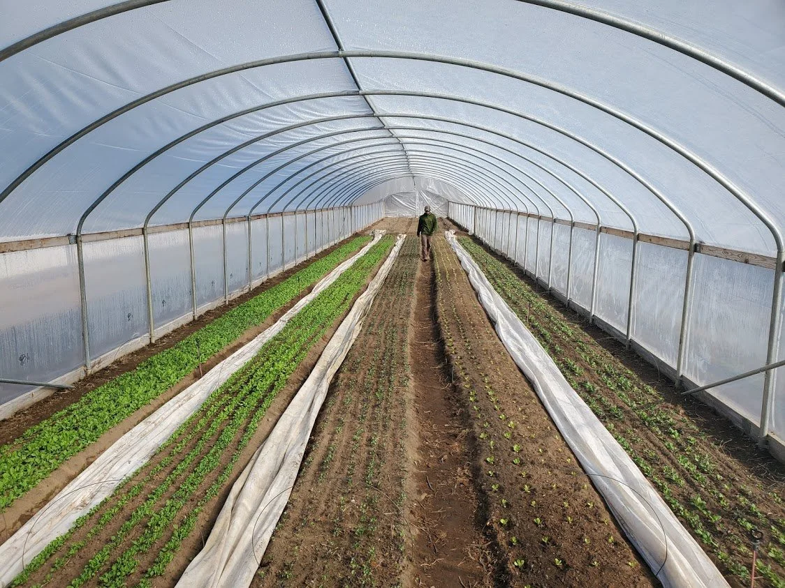 Irrigation Workshop Recording Available