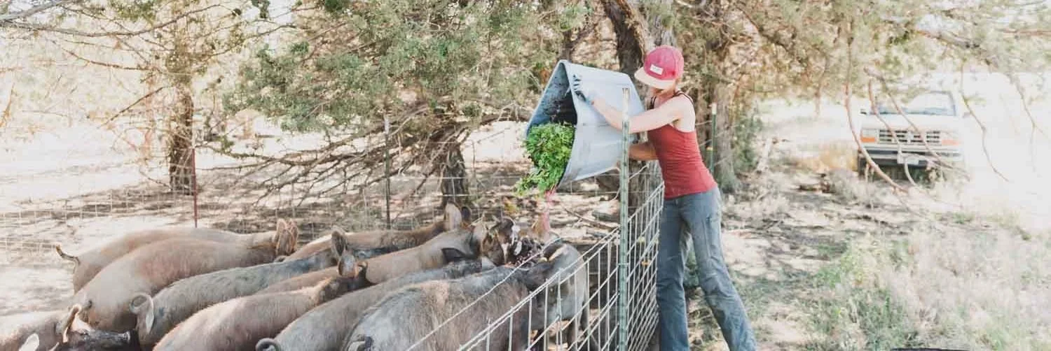 HDFFA Partner, Sarahlee Lawrence, Featured on OPB