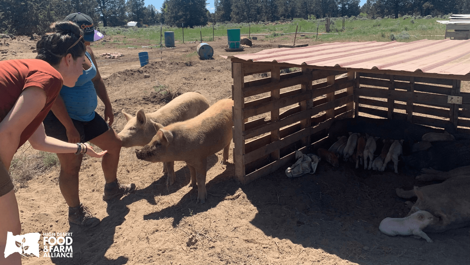 Q&A with High Desert Hogs owner, Claudia