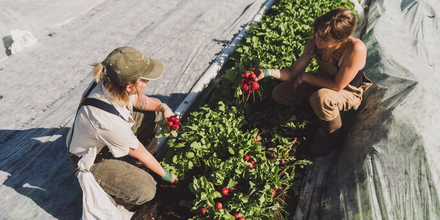 Interview with Katia Steckly -Growing Together Mentorship