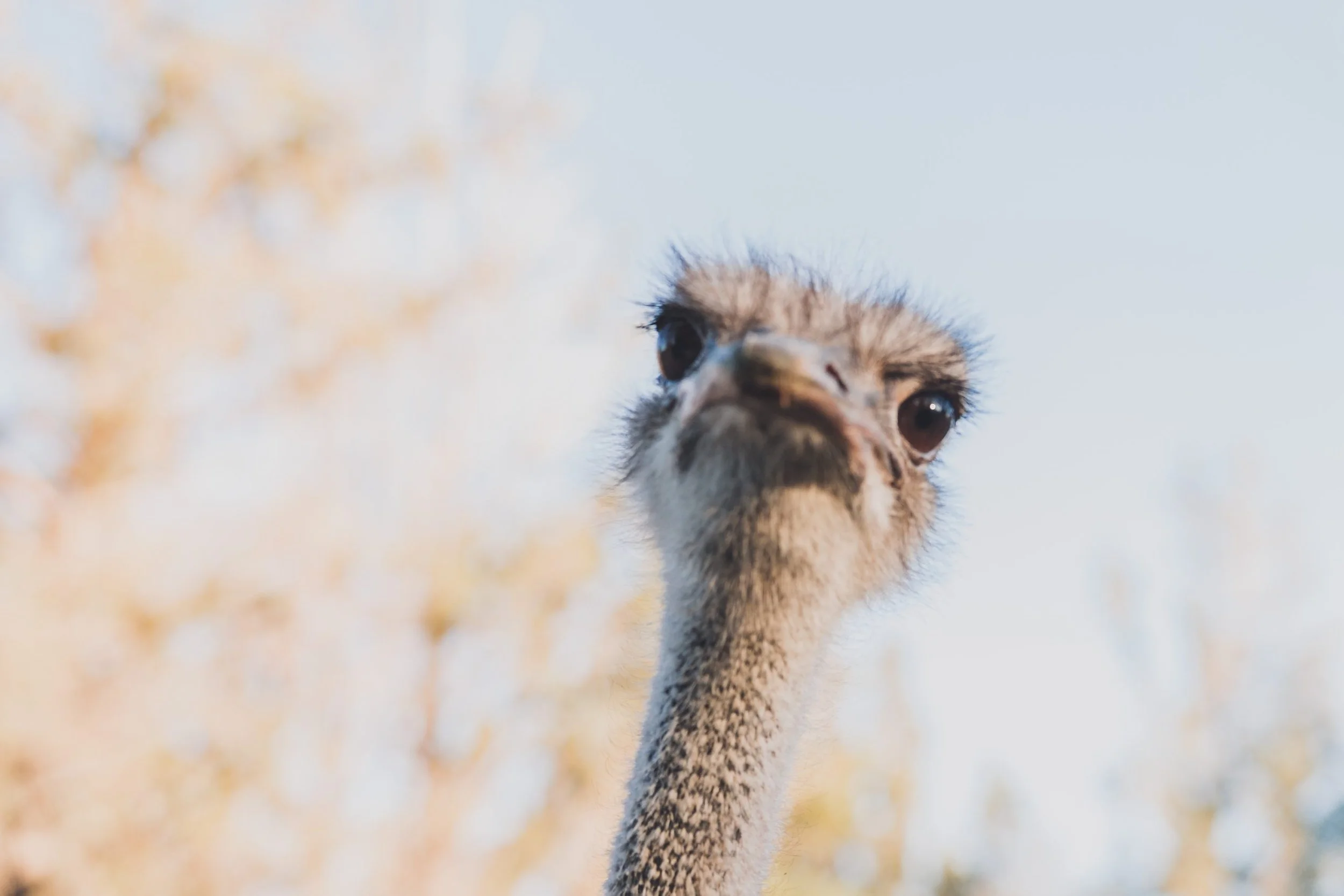 Farewell from Katrina