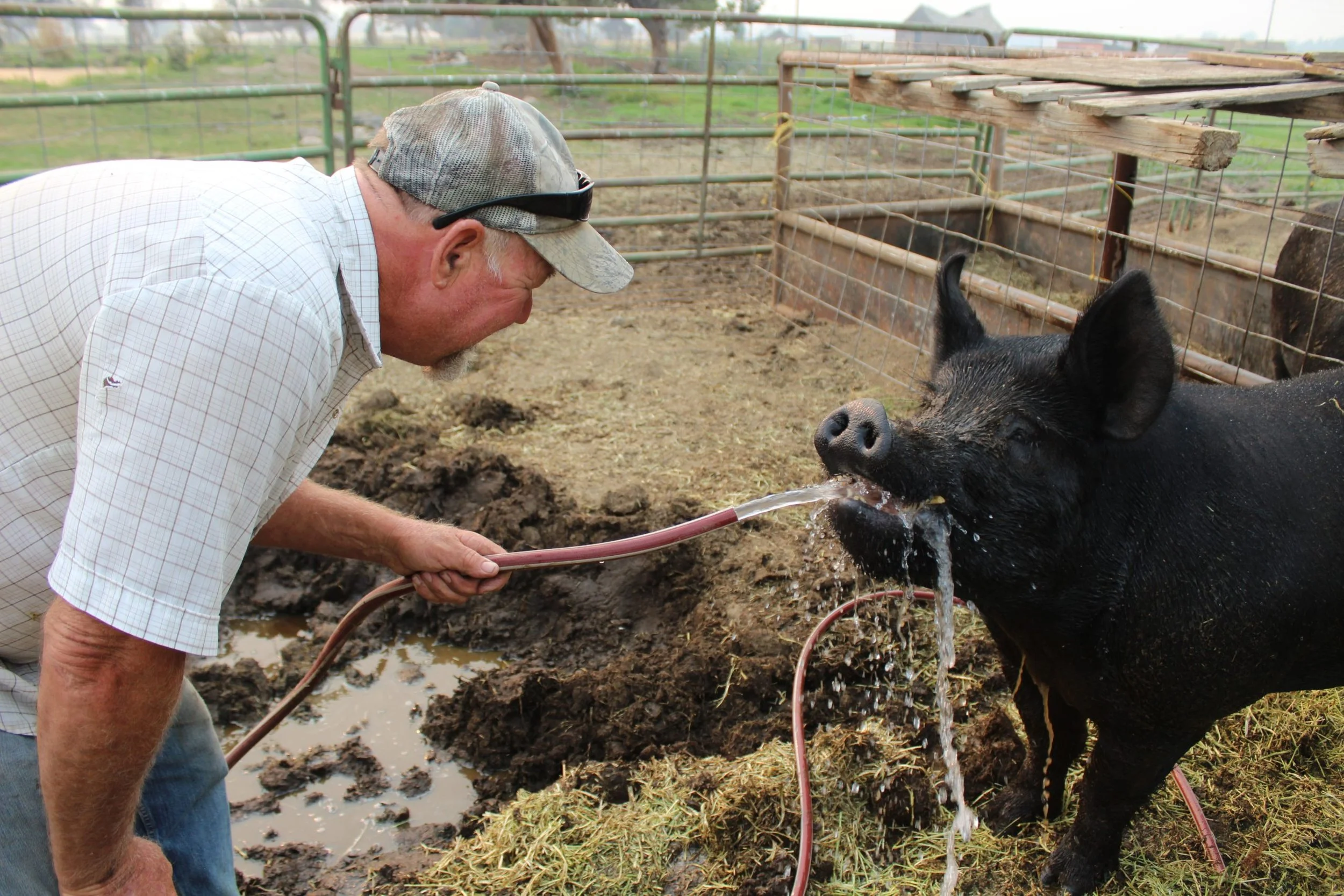 Water Grows Our Food