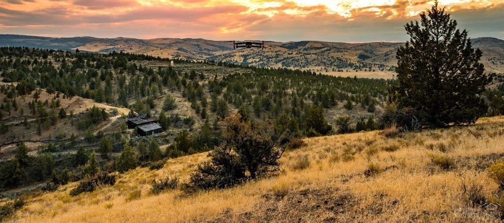 Dedication to Ann Snyder