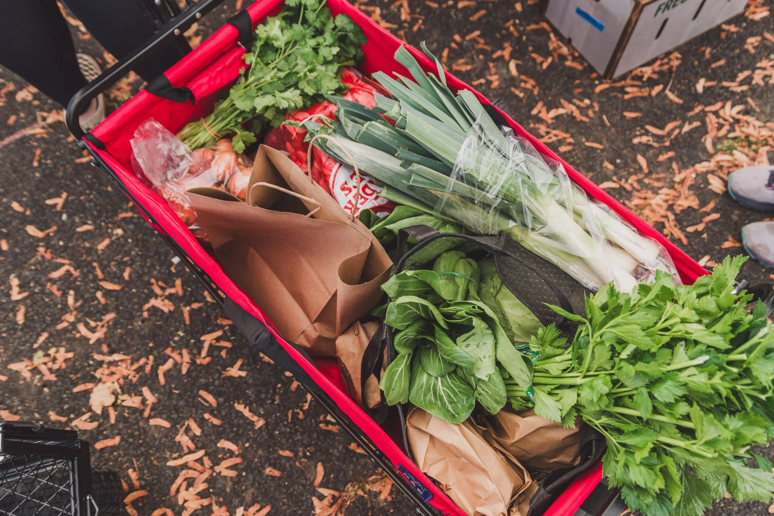 Central Oregon Fill Your Pantry : How to Store Your Fall Harvest