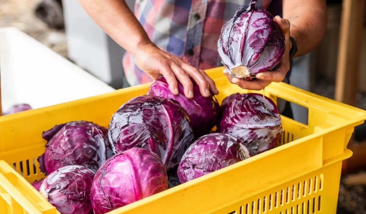 2025 Efficiency Grant Awarded to Nine Producers