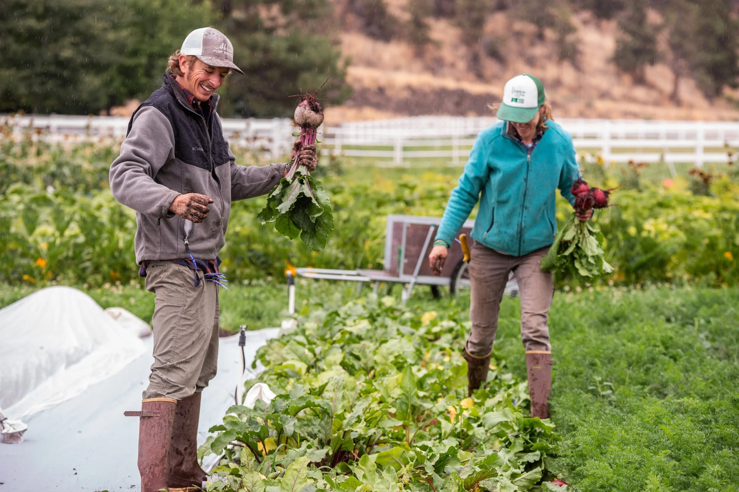 Raising Roots: Sungrounded Organic Farm Feature