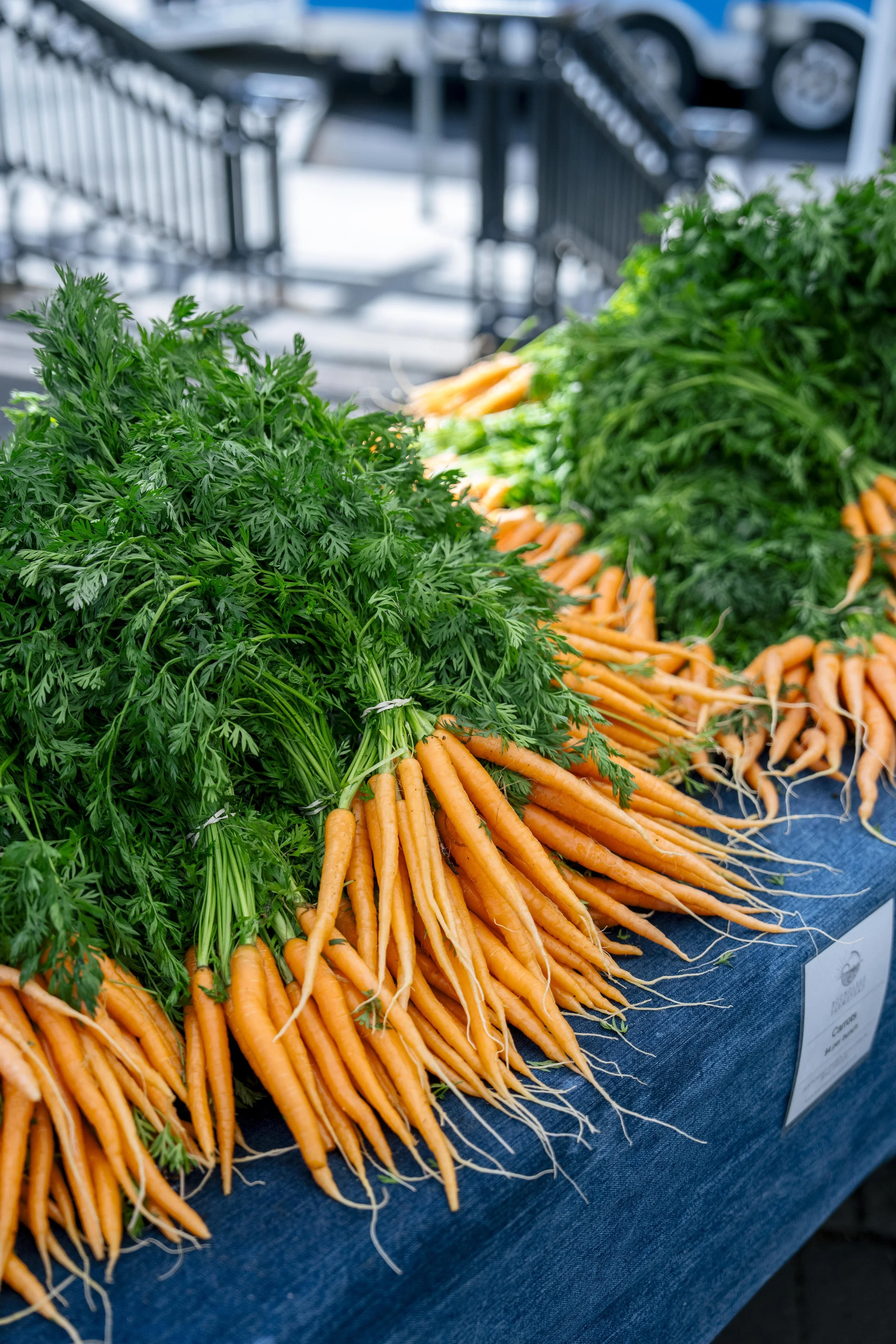 How to Build an Autumn Salad